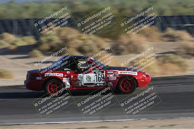 media/Oct-11-2025-Lucky Dog Racing (Sat) [[f5b53147c4]]/5-Fourth Stint/3-Turn 12 Distant/